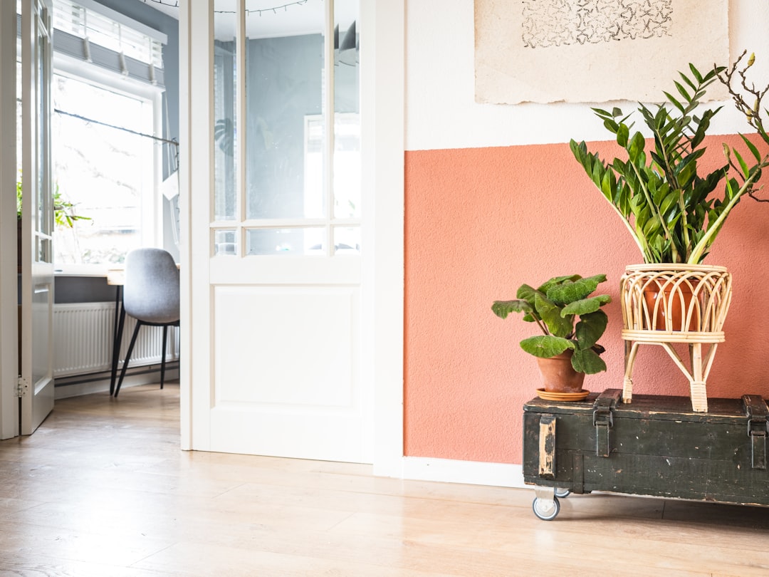 Taking pictures of plants in our living room never gets boring. There is something soothing about the colours and the composition.